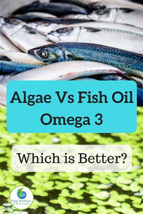 omega 3 from algae vs fish|dha from algae side effects.